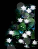 фотография Гирлянда уличная Star String Lights (50 LED-ламп), белый свет  - 2190 р.