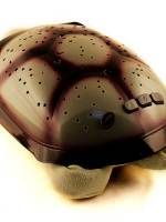 фотография Ночник проектор Черепаха зеленый  - 900 р.